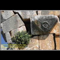 17430 04 035 Aphamea Syrien 2011.JPG